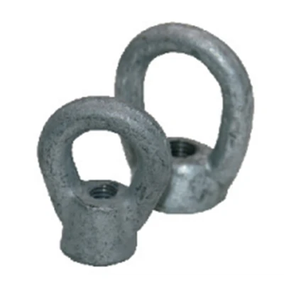 Oval Eyenuts